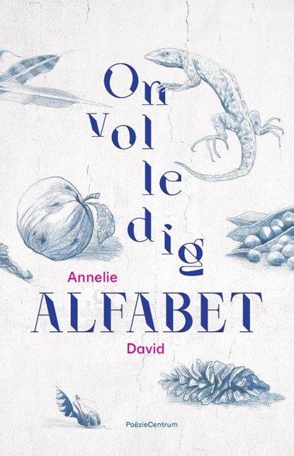 Onvolledig alfabet, Annelie David - Paperback - 9789056552626