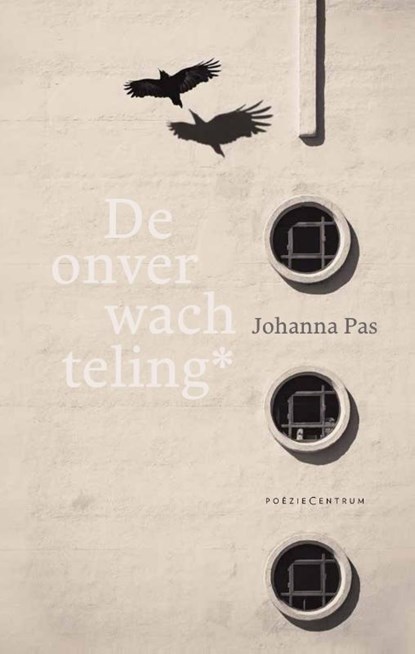 De onverwachteling*, Johanna Pas - Paperback - 9789056553319