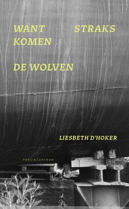 Want straks komen de wolven, Liesbeth D'Hoker - Paperback - 9789056553524