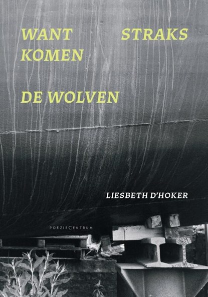 Want straks komen de wolven, Liesbeth D'Hoker - Paperback - 9789056553524