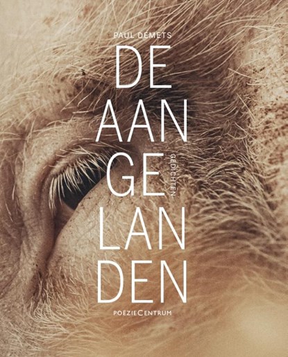 De aangelanden, Paul Demets - Paperback - 9789056553586