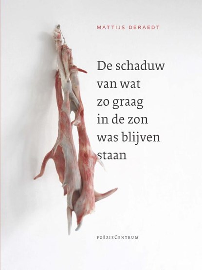 De schaduw van wat zo graag in de zon was blijven staan, Mattijs Deraedt - Paperback - 9789056554088