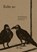 Echt zo, Paul Demets - Paperback - 9789056555832