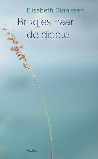 Brugjes naar de diepte, Elisabeth Dinnissen - Paperback - 9789056704100