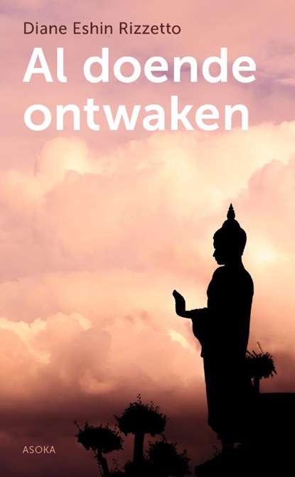 Al doende ontwaken, Diane Eshin Rizzetto - Paperback - 9789056704292