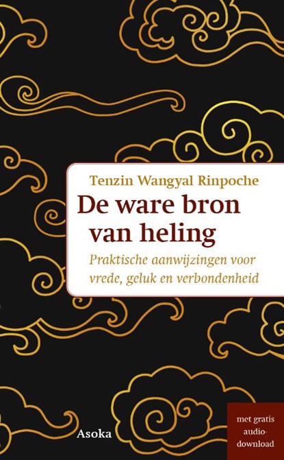 De ware bron van heling, Tenzin Wangyal Rinpoche - Paperback - 9789056704322