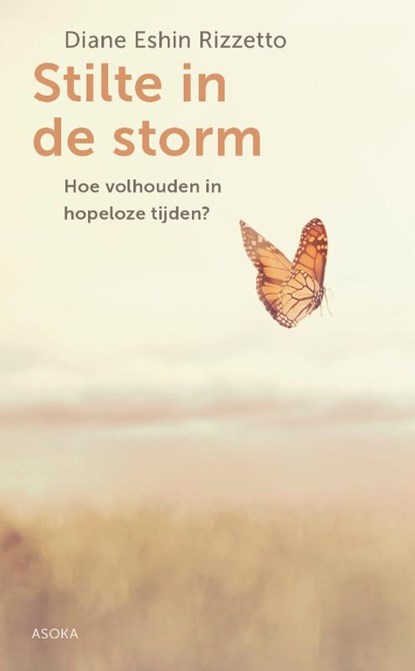 Stilte in de storm, Diane Rizzetto - Paperback - 9789056704384