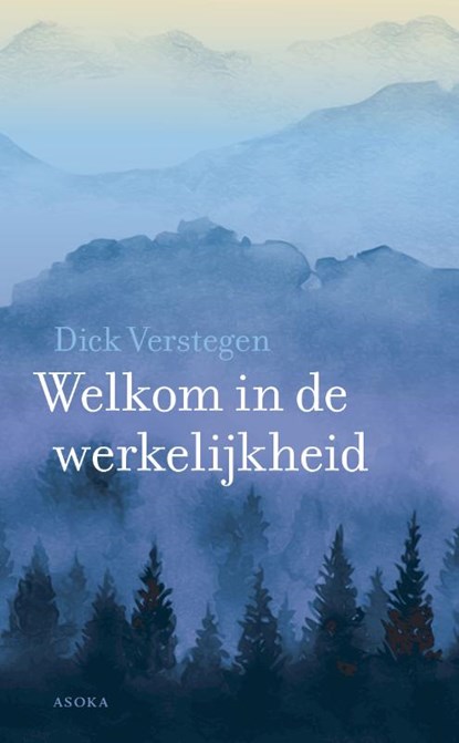 Welkom in de werkelijkheid, Dick Verstegen - Paperback - 9789056704407