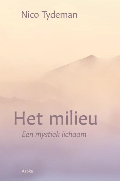 Het milieu, Nico Tydeman - Gebonden - 9789056704551