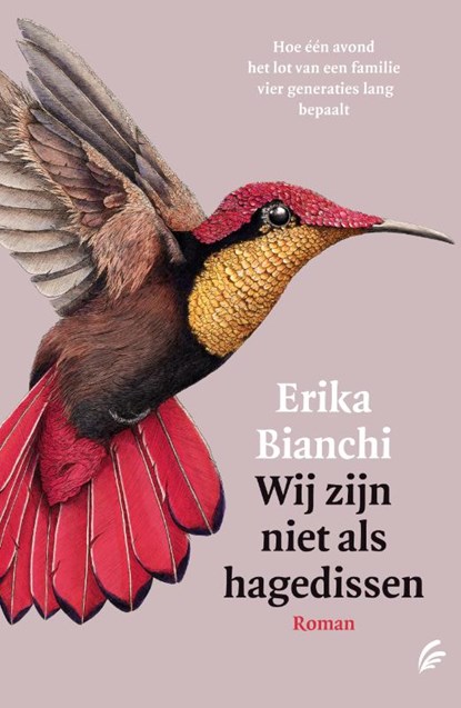 Wij zijn niet als hagedissen, Erika Bianchi - Paperback - 9789056726430