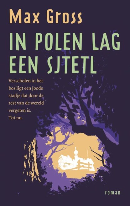 In Polen lag een sjtetl, Max Gross - Paperback - 9789056726928