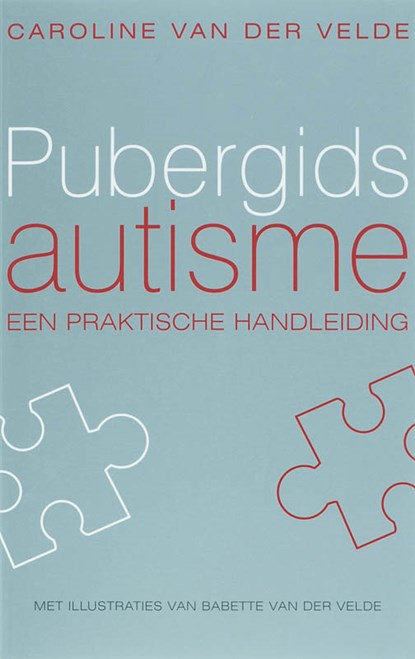 Pubergids autisme, C. van der Velde - Paperback - 9789057122514