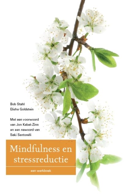 Mindfulness en stressreductie, Bob Stahl ; Elisha Goldstein - Paperback - 9789057123184
