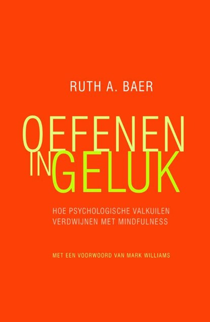 Oefenen in geluk, Ruth A. Baer ; Ruth Baer - Paperback - 9789057124129