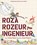 Roza Rozeur, ingenieur, Andrea Beaty ; David Roberts - Gebonden - 9789057124983