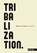 Tribalization, Koert Debeuf - Paperback - 9789057187698