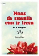 Naar de essentie van je leven - Sabine Maes - 9789057204494
