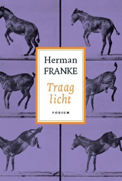 Voorbij ik en waar gebeurd 3 Traag licht, Herman Franke - Gebonden - 9789057594045