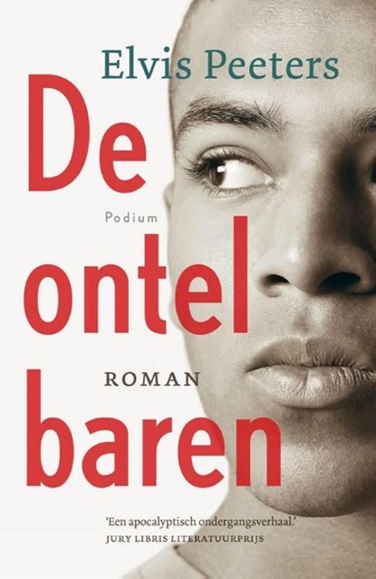 De ontelbaren, Elvis Peeters - Ebook - 9789057595356