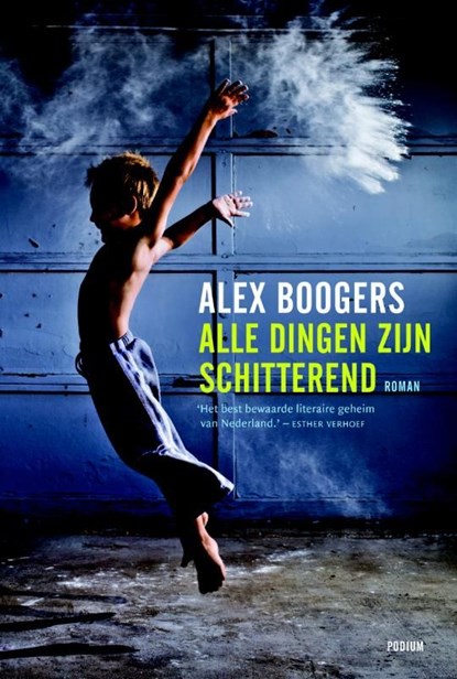 Alle dingen zijn schitterend, Alex Boogers - Ebook - 9789057595547