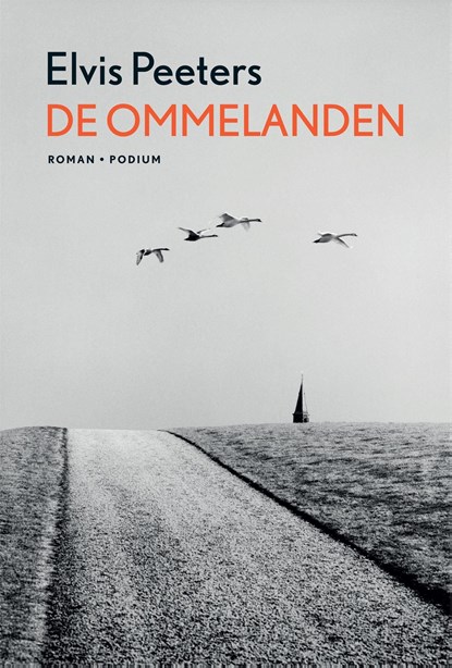 De ommelanden, Elvis Peeters - Ebook - 9789057599613