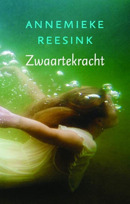 Zwaartekracht, Annemieke Reesink - Paperback - 9789058041517