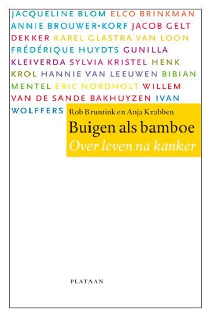 Buigen als bamboe, Rob Bruntink ; Anja Krabben - Paperback - 9789058072610
