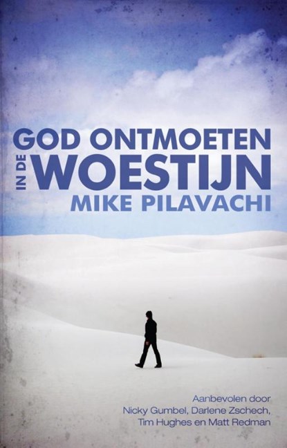 God ontmoeten in de woestijn, Mike Pilavachi - Paperback - 9789058111258