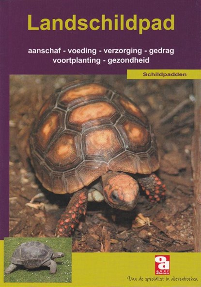 De landschildpad, niet bekend - Paperback - 9789058211705