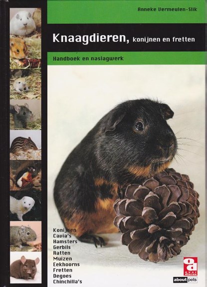 Knaagdieren, konijnen en fretten, A. Vermeulen-Slik - Gebonden - 9789058216069