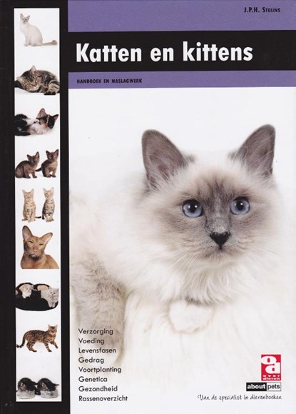Katten en kittens, J.P.H. Steijns - Gebonden - 9789058216076
