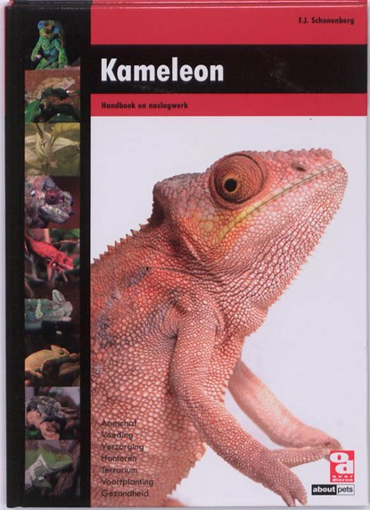 Kameleon, F.J. Schonenberg - Gebonden - 9789058216182
