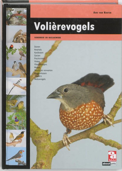 Volièrevogels, Adri van Kooten - Gebonden - 9789058216205