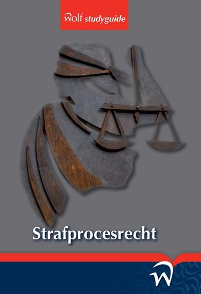 Strafprocesrecht, J. van der Sanden - Paperback - 9789058507679