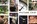Picture this!, Espérance Blaauw - Losbladig - 9789058719782