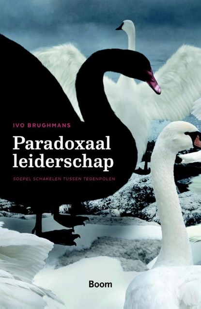 Paradoxaal leiderschap, Ivo Brughmans - Paperback - 9789058754479