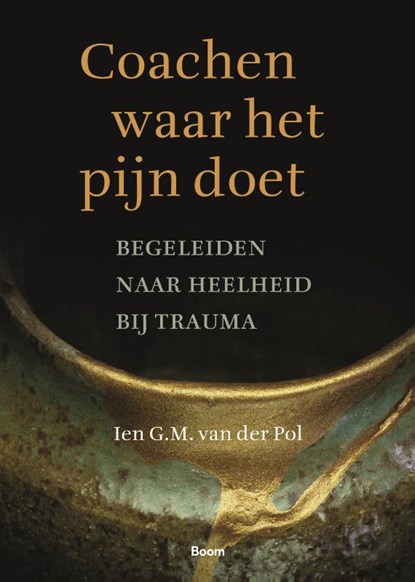 Coachen waar het pijn doet, Ien G.M. van der Pol - Paperback - 9789058755490