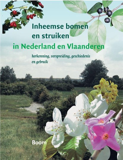 Inheemse bomen en struiken in Nederland en Vlaanderen, Bert Maes - Paperback - 9789058756428