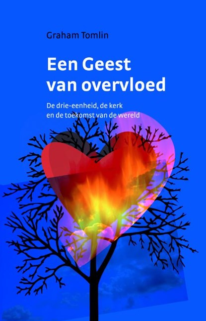 Een geest van overvloed, Graham Tomlin - Paperback - 9789058816375