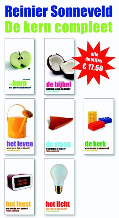 De kern, Reinier Sonneveld - Paperback - 9789058817488