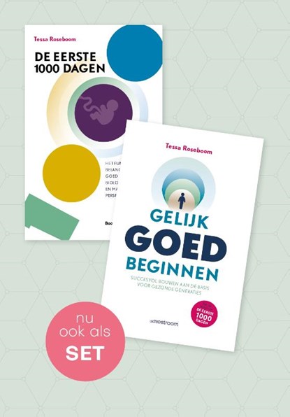 De eerste 1000 dagen & Gelijk goed beginnen (SET), Tessa Roseboom - Overig - 9789058983398