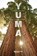 Yuma, Kirstin Vanlierde - Paperback - 9789059084315