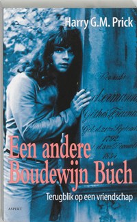 Een andere Boudewijn Buch | Harry G.M. Prick | 