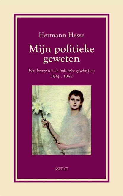 Mijn politieke geweten, Hermann Hesse - Paperback - 9789059115156
