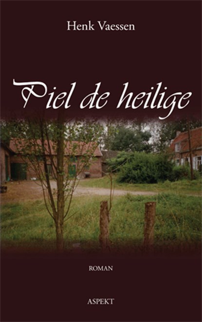 Piel de Heilige, Henk Vaessen - Paperback - 9789059115309