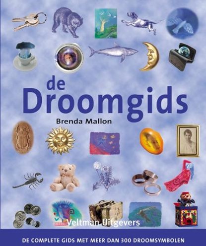 De droomgids, MALLON, Brenda - Paperback - 9789059206441