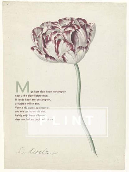 Poëzieposter plint Mijn hert, niet bekend - Losbladig - 9789059306424