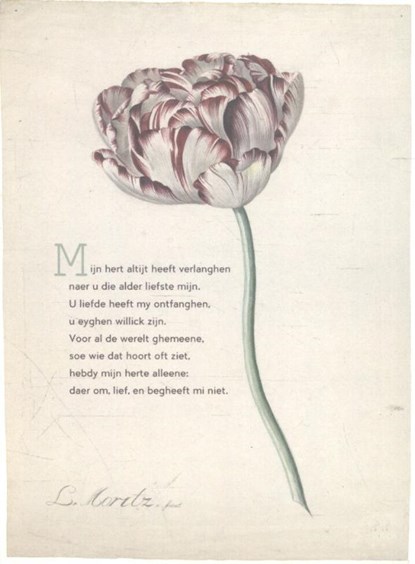 10 poëziekaarten plint met gedicht 'Mijn hert', Anonymus - Losbladig - 9789059306479