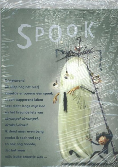 Plint set van 10 poëziekaarten 'Spook', Theo Olthuis - Losbladig - 9789059307636