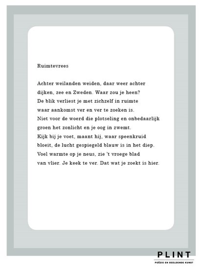 Plint Raamgedicht Marjoleine de Vos, Marjoleine de Vos - Losbladig - 9789059308503